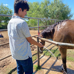 Meet your Posher, Alian